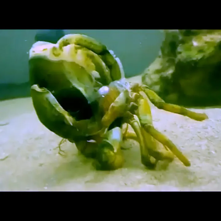 VARIOUS OTHERS – Contemporary Art Munich - Startseite