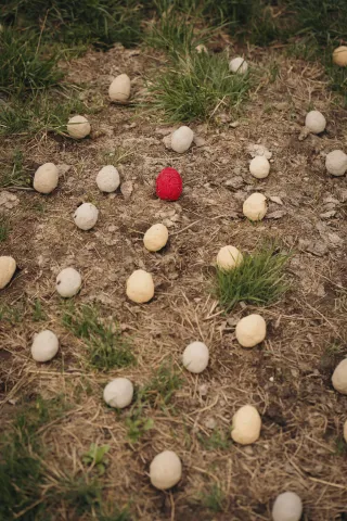 VARIOUS OTHERS – Contemporary Art Munich - Press